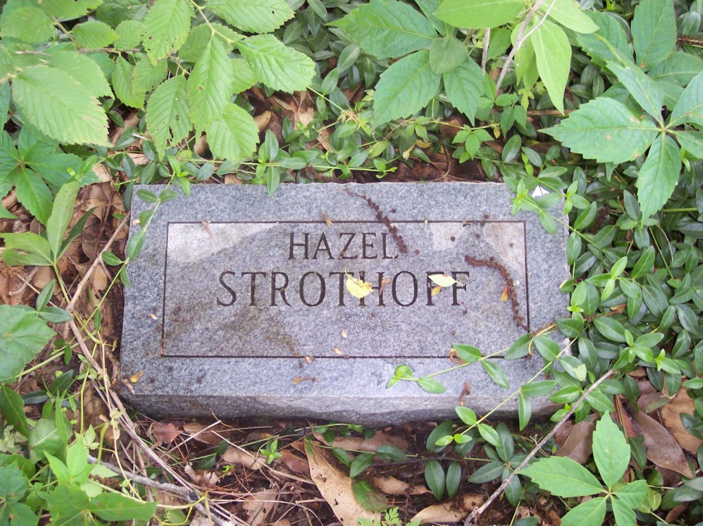 strothoffhazel.jpg