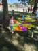 _152829_small.jpg